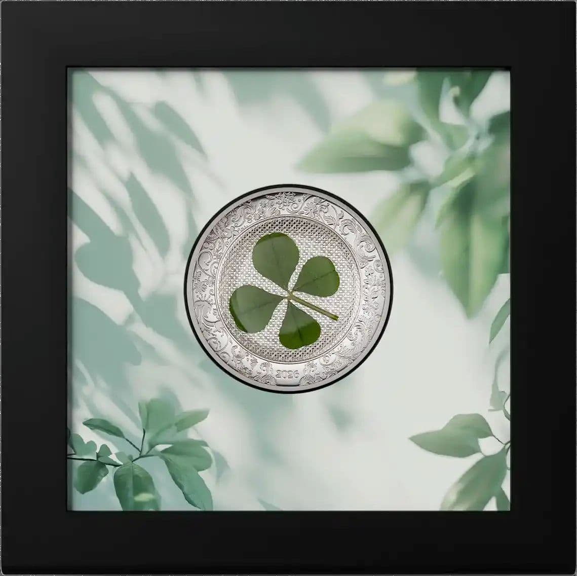 Lucky four-leaf clover design on a 2026 Cook Islands silver proof coin, 1 oz weight, minted in 2026, displayed in a.