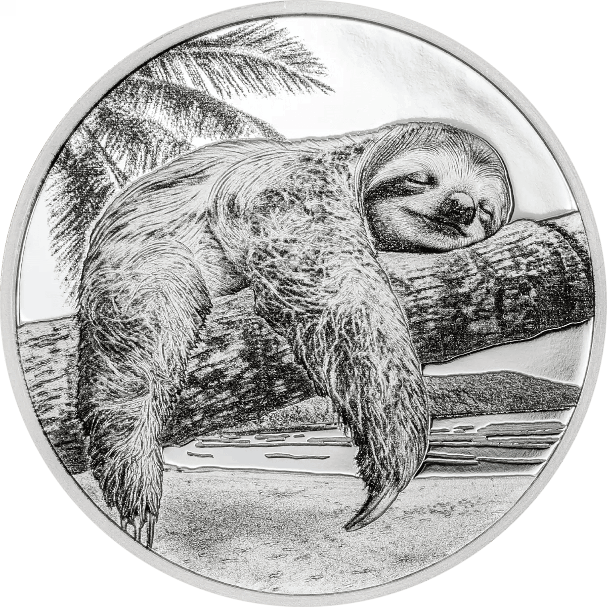 Sloth silver coin, 2026, Cook Islands mint, 1 oz weight, colorized proof, front view, detailed design, collectible.