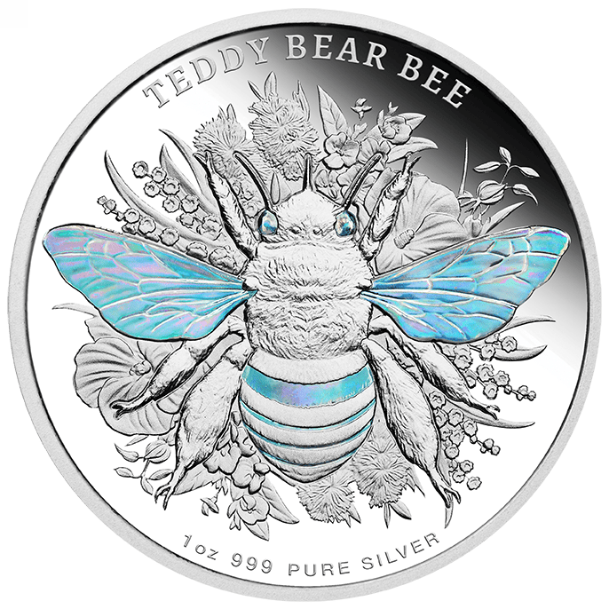 A silver proof coin featuring a detailed Teddy Bear Bee, minted in 2026 by the Perth Mint, weighing 1 oz, with holo.