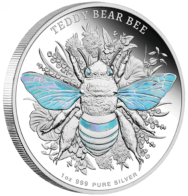 Teddy Bear Bee 2026 Niue silver proof coin, 1 oz, hologram, Australian native bees, mint-produced, detailed design,.
