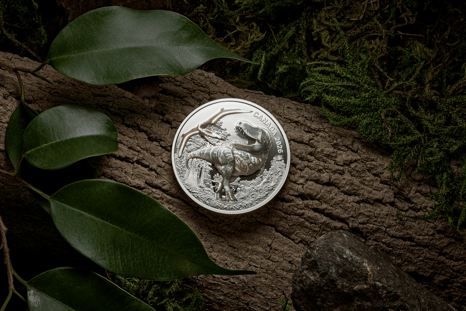 2026 Canada T Rex 1 oz Silver Proof Coin with UV Effect, front view, detailed dinosaur design.