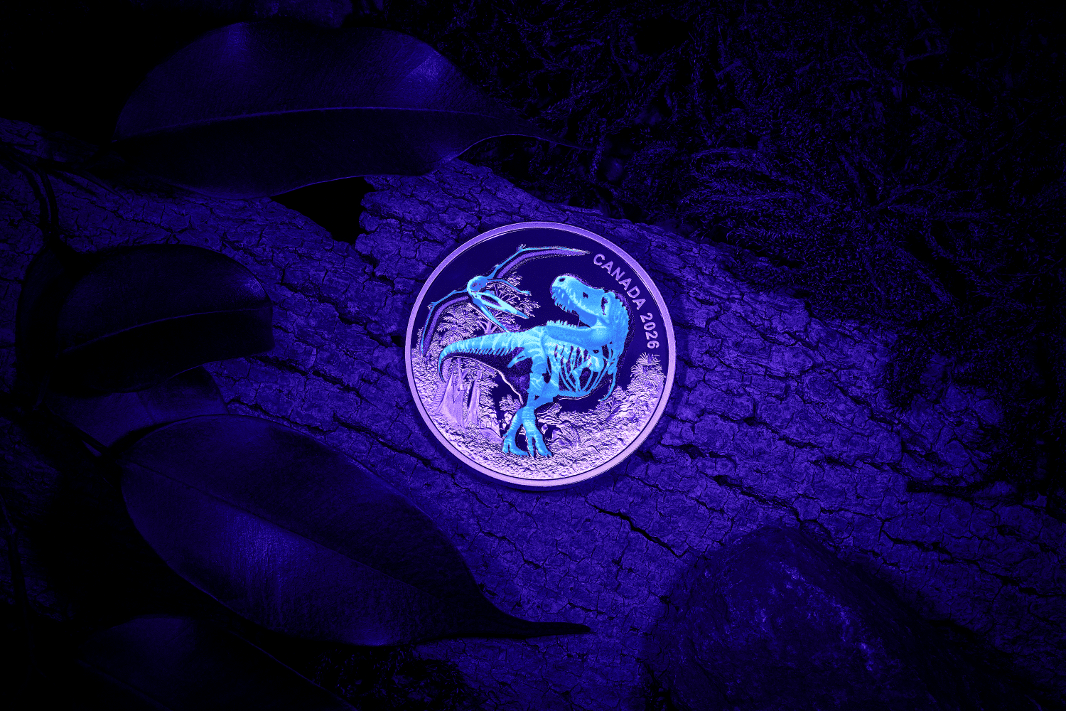 2026 Canada T Rex 1 oz Silver Proof Coin with UV Effect and Reserve Social.