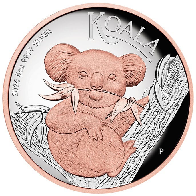 Koala 2026 5oz Silver Proof HR Rose Gold Gilded Coin with koala on a tree branch.