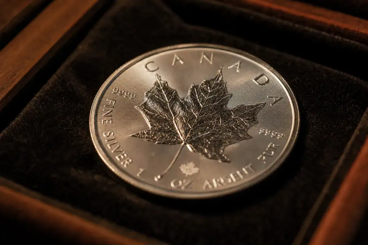 Silver Maple Leaf legal tender coin with face value denomination visible on dark velvet tray