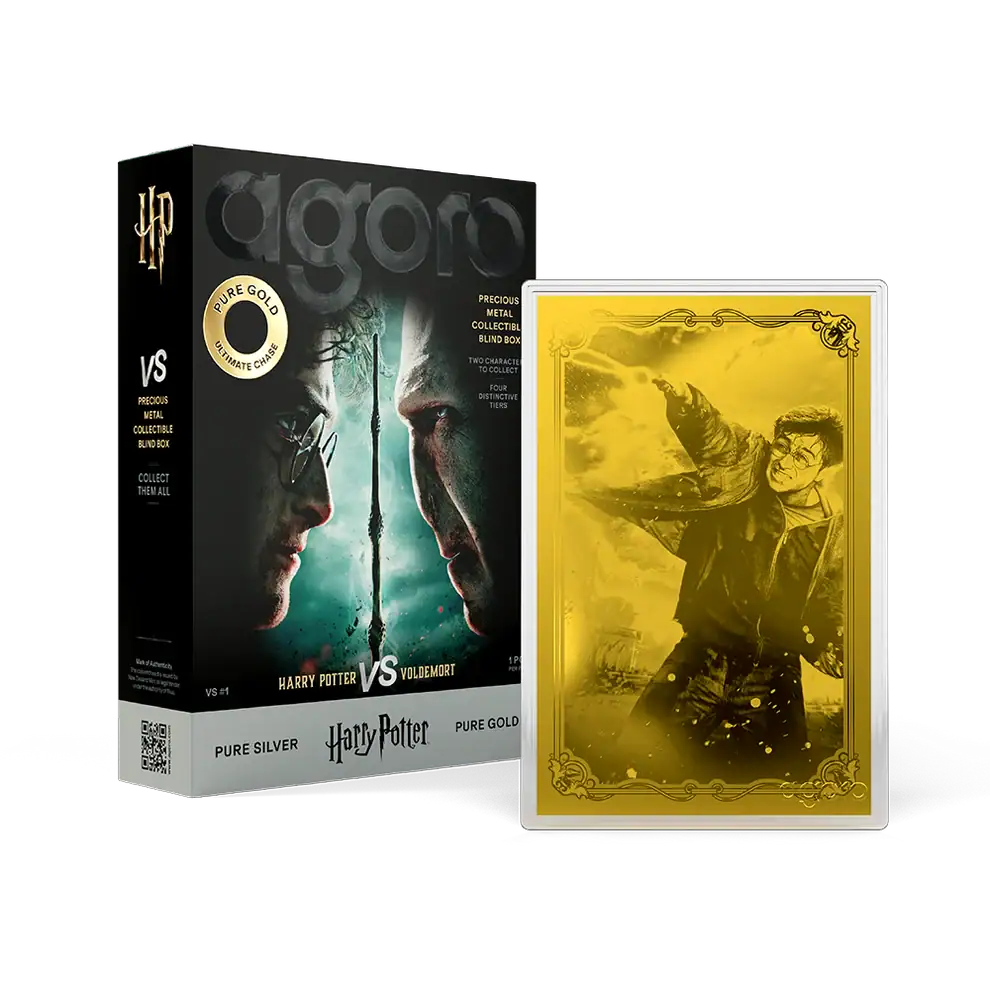 2026 Agoro Harry Potter Vs. Voldemort blind box beside a gold-colored foil of Harry Potter, arm outstretched